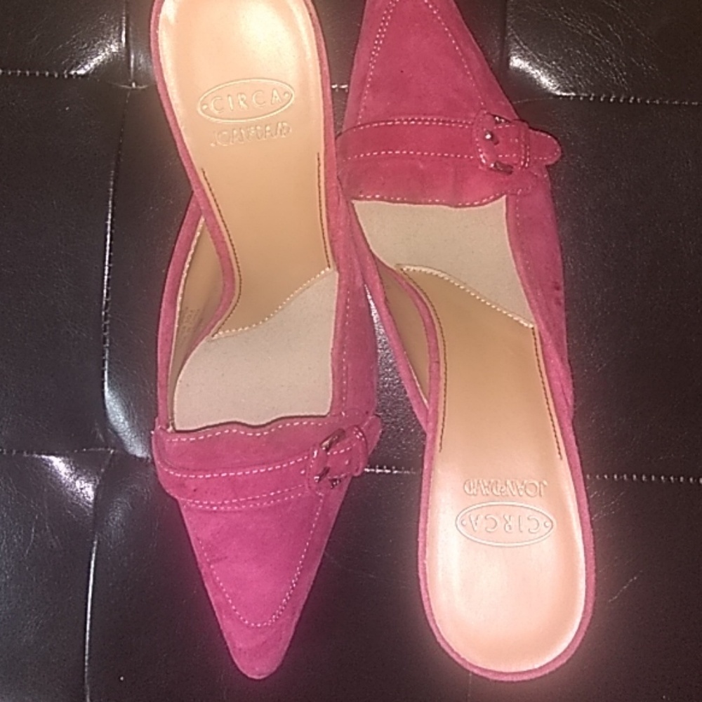 Joan and David suede mule with buckle pointed toe